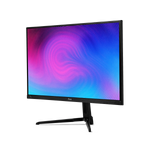 PX246 Wave 24-inch Gaming Monitor